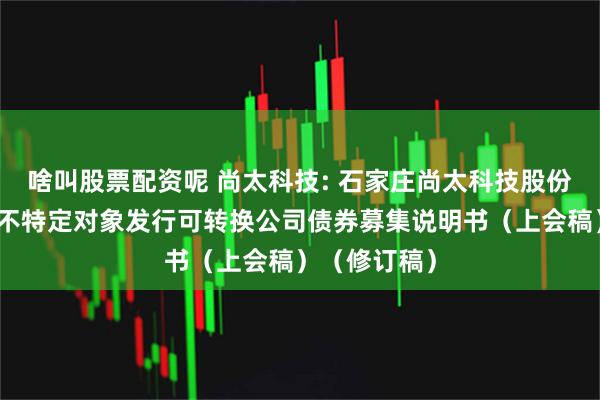 啥叫股票配资呢 尚太科技: 石家庄尚太科技股份有限公司向不特定对象发行可转换公司债券募集说明书（上会稿）（修订稿）