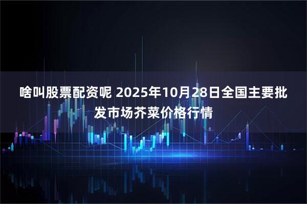 啥叫股票配资呢 2025年10月28日全国主要批发市场芥菜价格行情